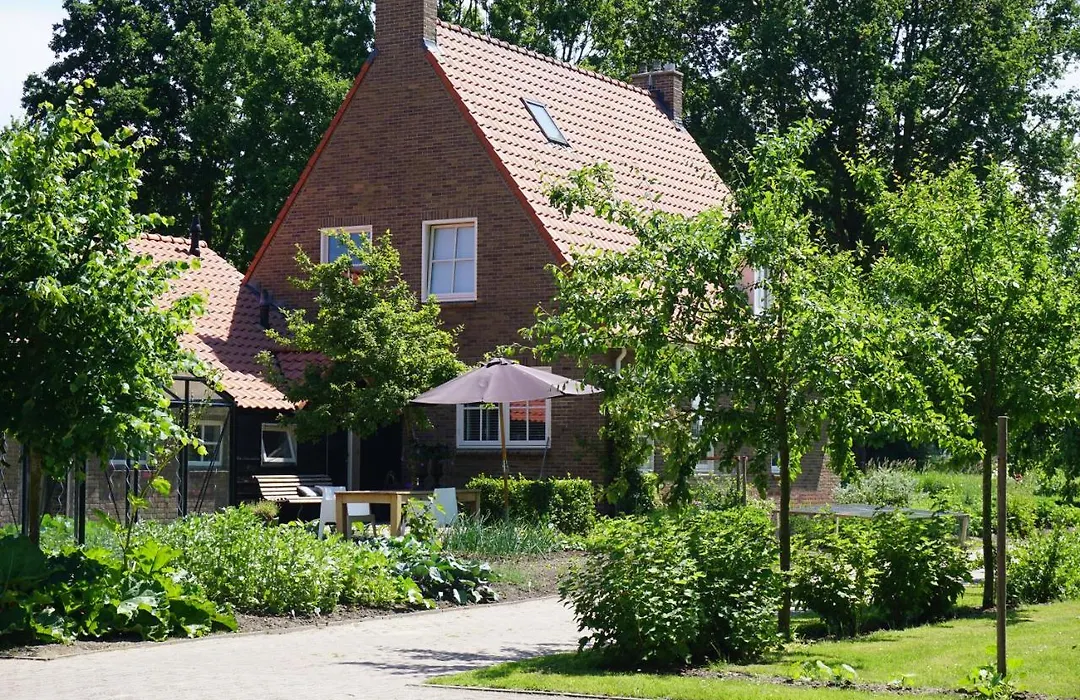 Het Leeuwterveld-1