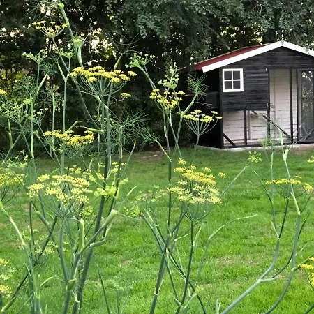 Het Leeuwterveld-3